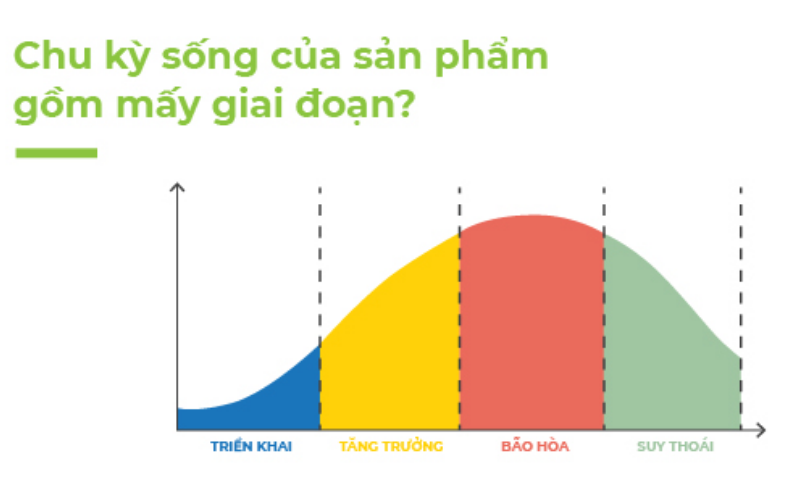 Chu Kỳ Sống Của Sản Phẩm Và Chiến Lược Hiệu Quả Cho Từng Giai Đoạn