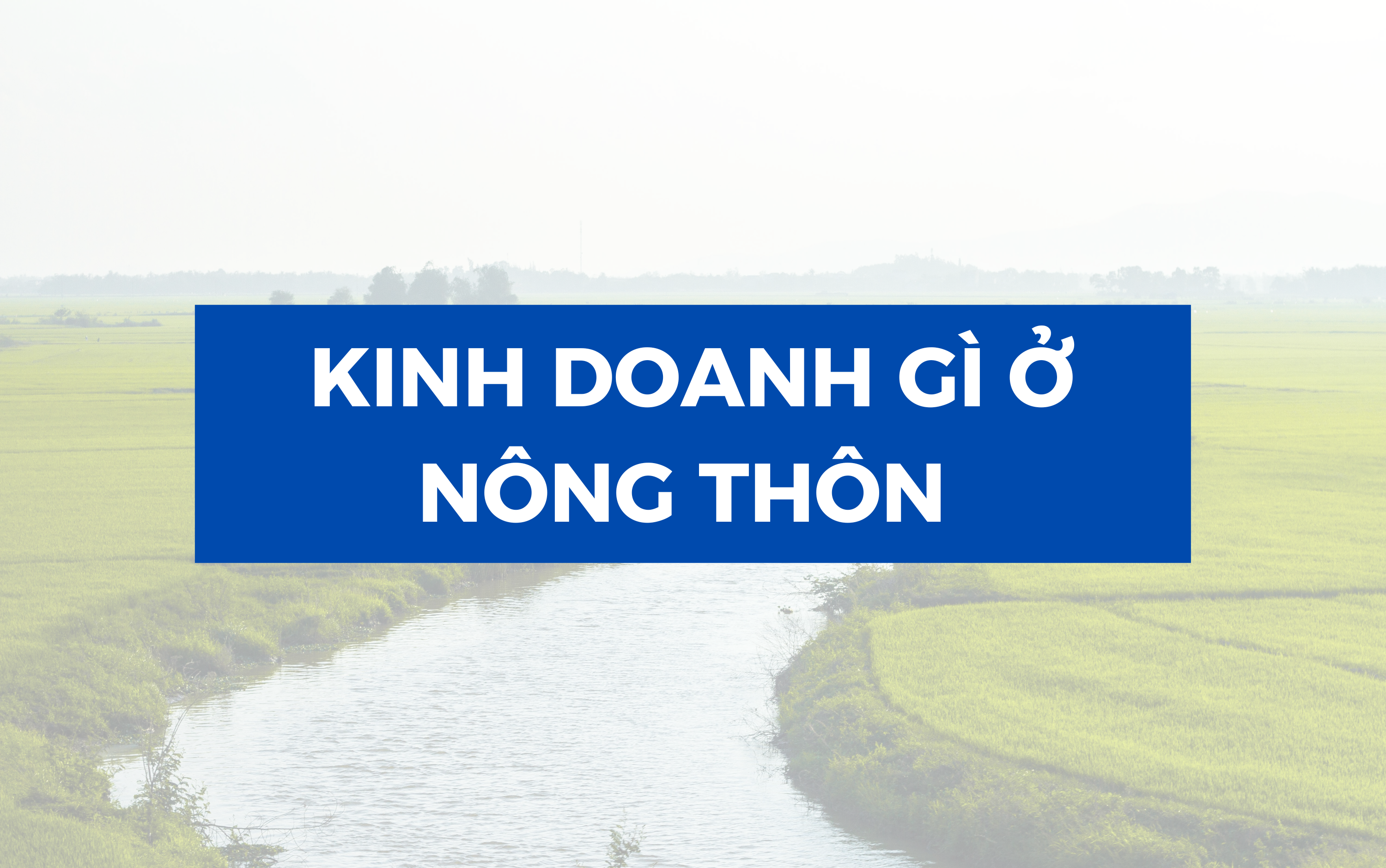 Kinh doanh gì ở nông thôn?
