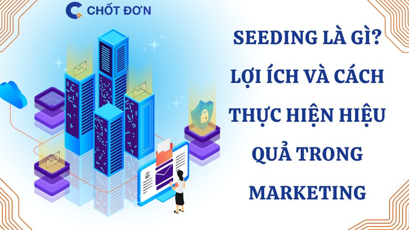 Seeding là gì? Lợi ích và cách thực hiện hiệu quả trong marketing